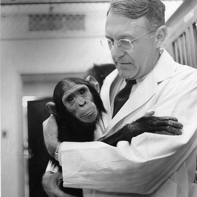 Dr. Riopella